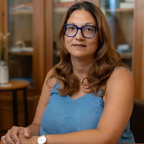 &Alpha;&nu;&alpha;&sigma;&tau;&alpha;&sigma;ί&alpha; &Alpha;&upsilon;&gamma;&omicron;&upsilon;&sigma;&tau;ή - &Gamma;&alpha;&lambda;&lambda;&iota;&kappa;ή&sigmaf; &Phi;&iota;&lambda;&omicron;&lambda;&omicron;&gamma;ί&alpha;&sigmaf; &Pi;&Epsilon;05